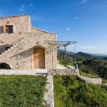 Panoramic View In Olivegroves *